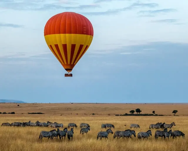 A hot air balloon floating over a herd of wildebeest in Maasai Mara