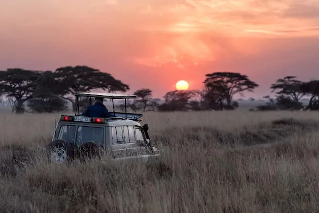 A tour jeep driving through a game park